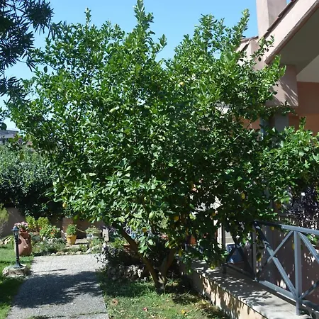 Affittacamere L'oasi Delle Vigne