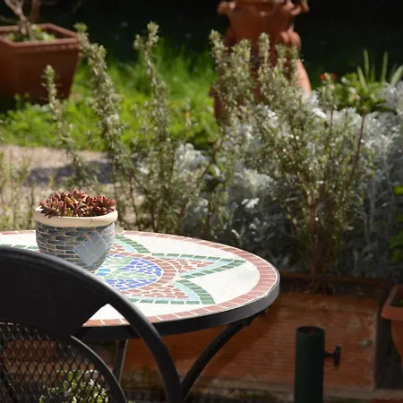 L'oasi Delle Vigne 4*