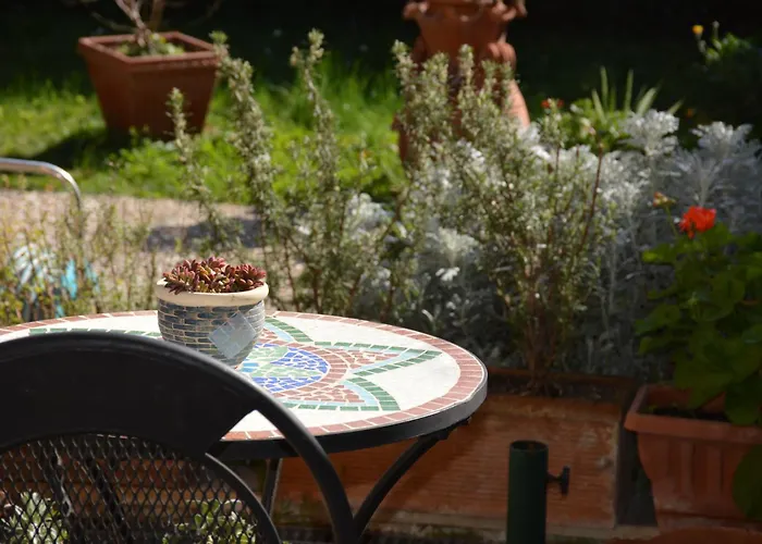 L'oasi Delle Vigne 4*