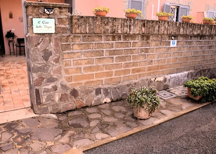 L'oasi Delle Vigne 4*